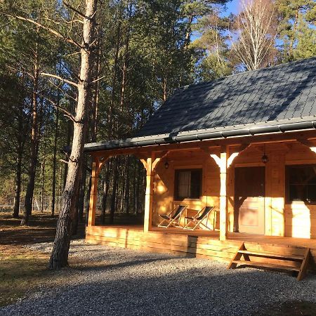 Forest Inn Trzepieciny Extérieur photo