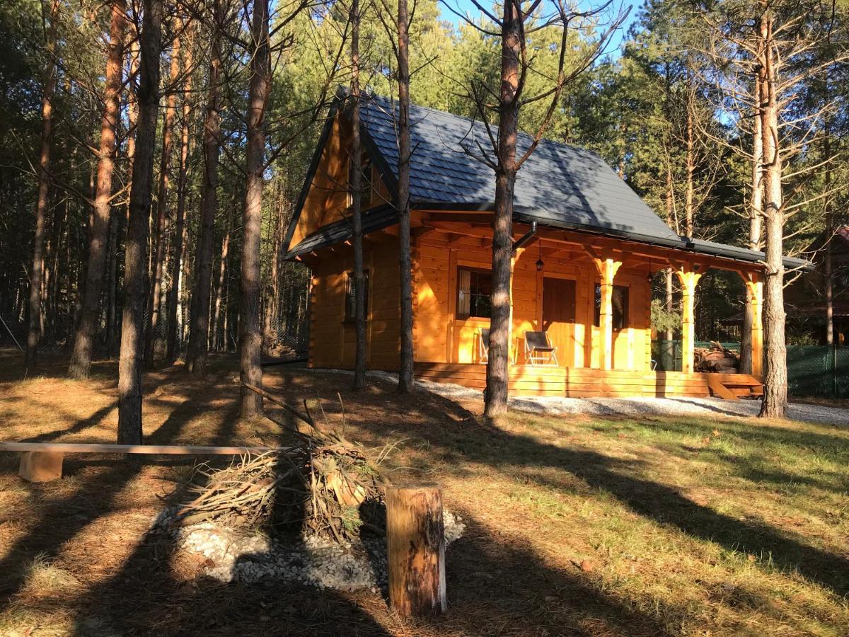 Forest Inn Trzepieciny Extérieur photo