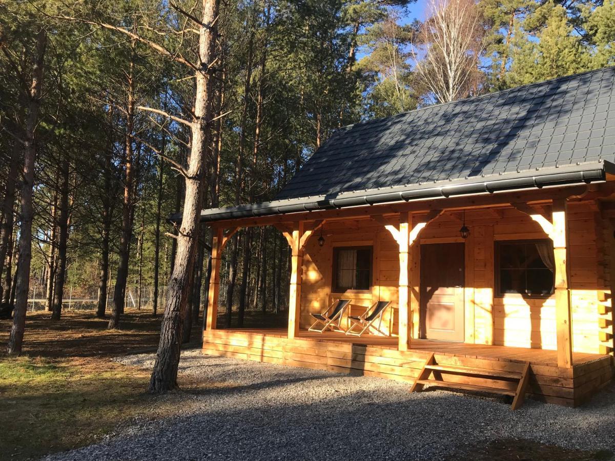Forest Inn Trzepieciny Extérieur photo